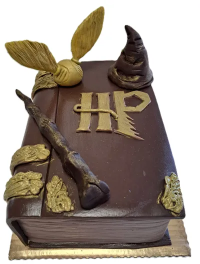 Harry Potter kniha - poctivý Narozeninové dorty na zakázku Karviná a Ostrava z Cukrářství Blahutovi